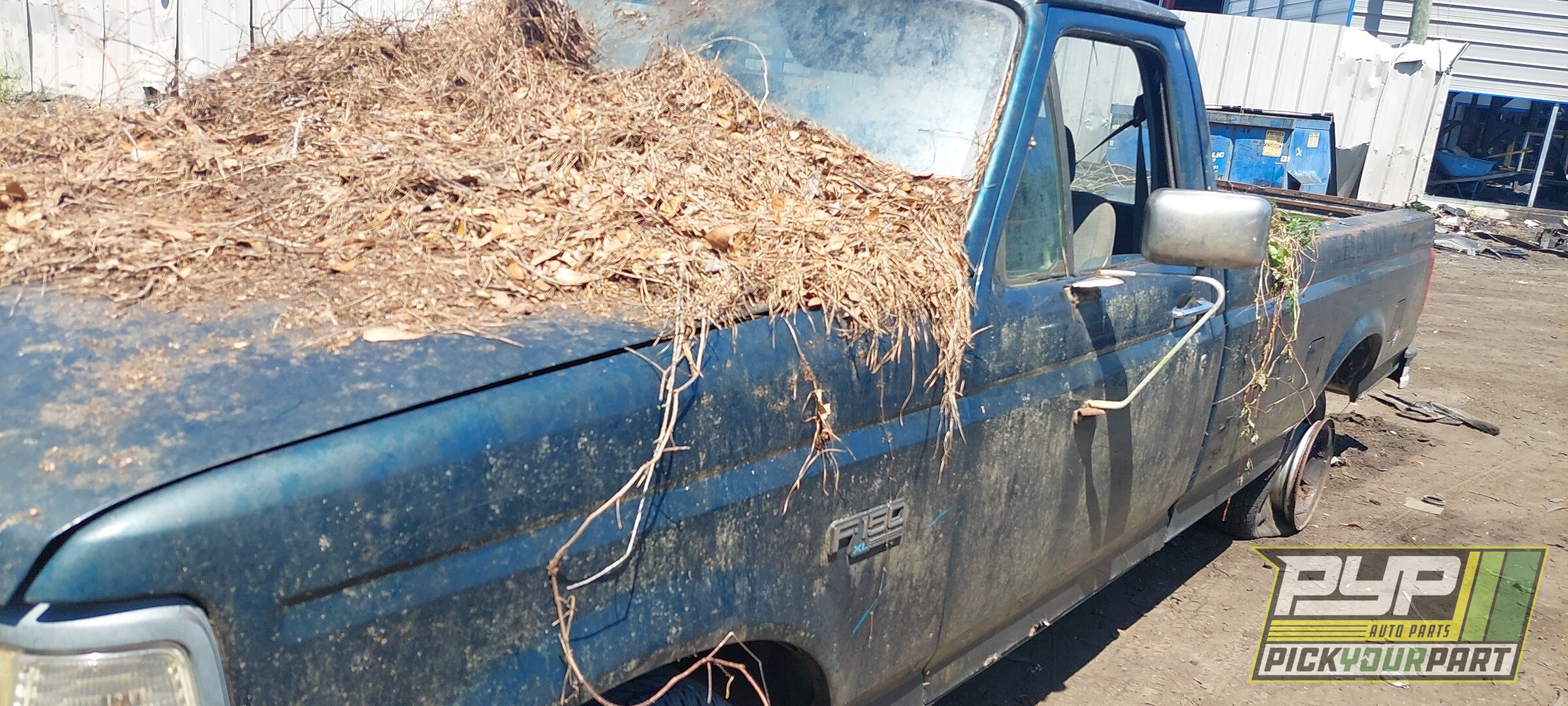 Photo of 1993 Ford F-150