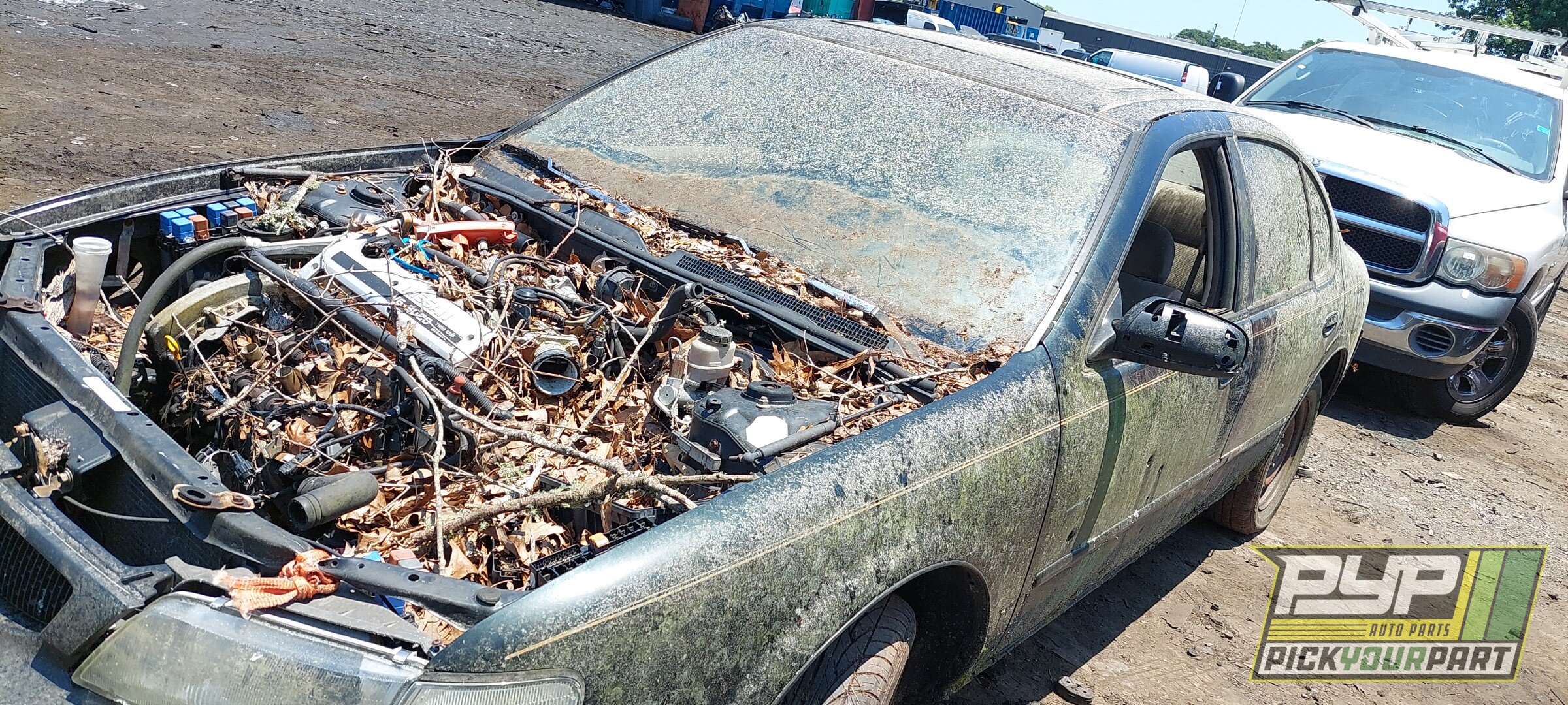 Photo of 1996 Nissan Maxima