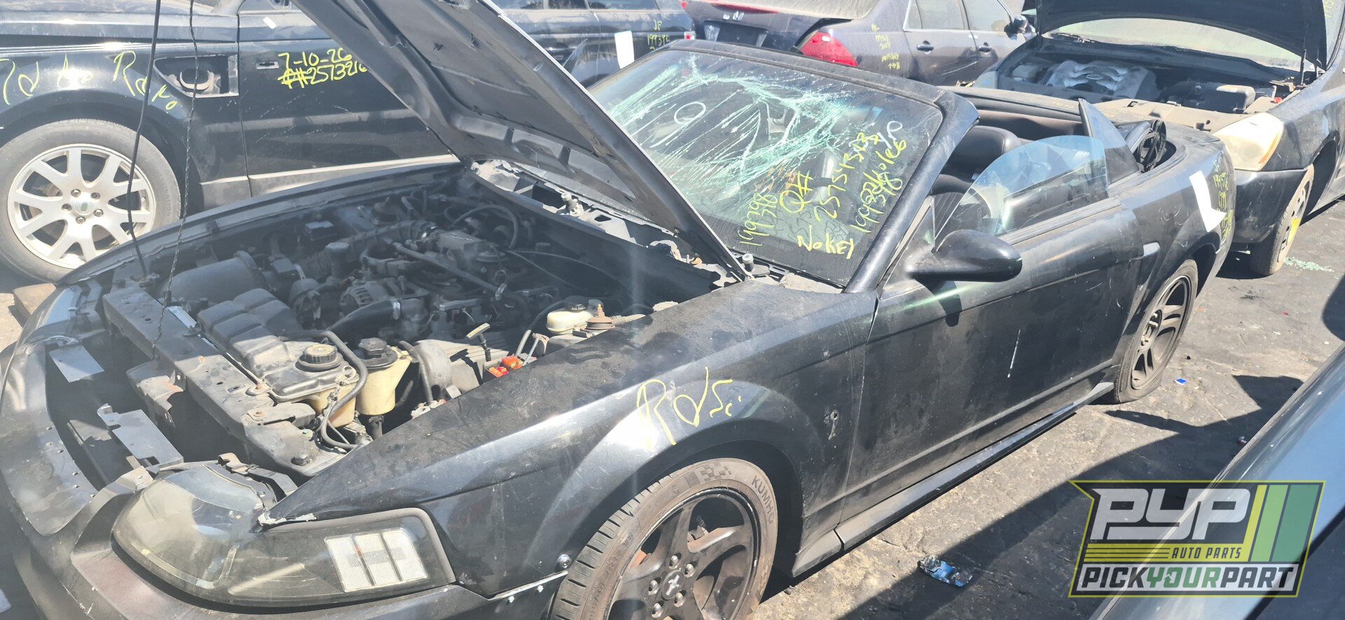 Photo of 1999 Ford Mustang