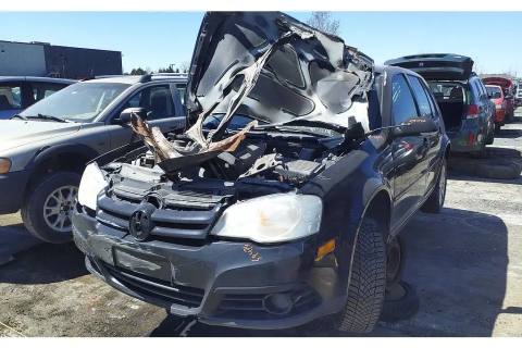 Photo of 2009 Volkswagen Golf