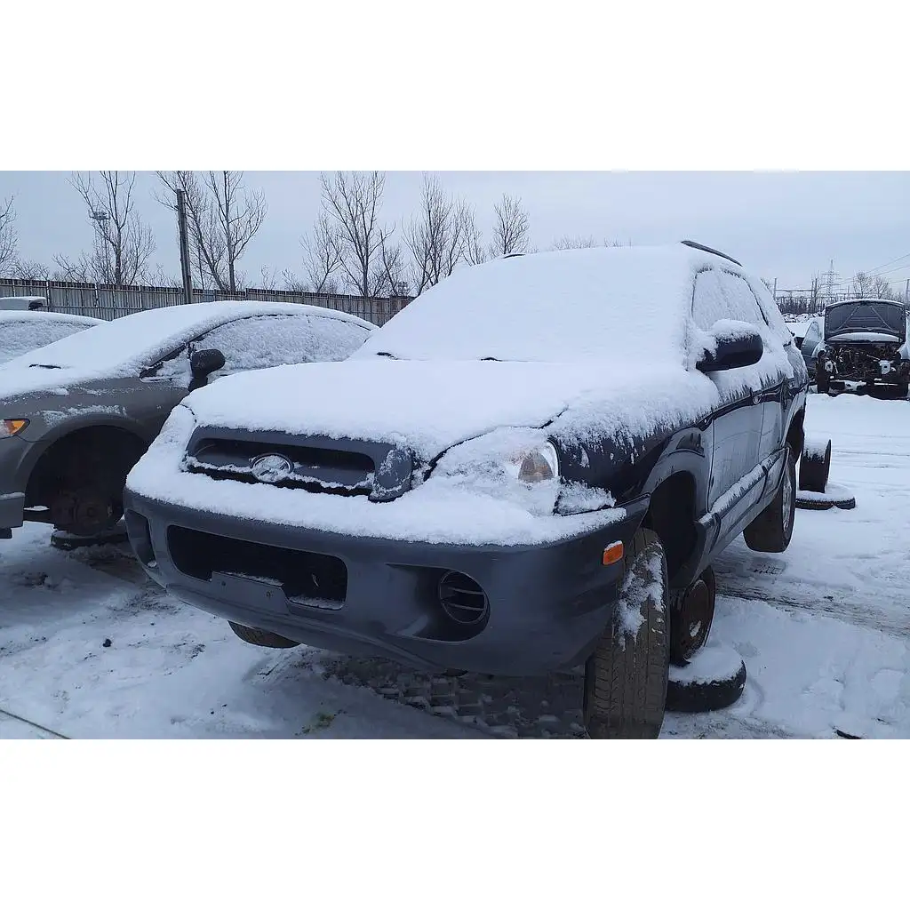 Photo of 2005 Hyundai Santa Fe