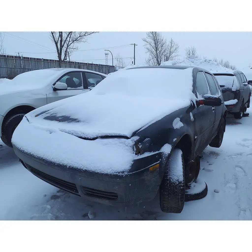 Photo of 1999 Volkswagen Golf