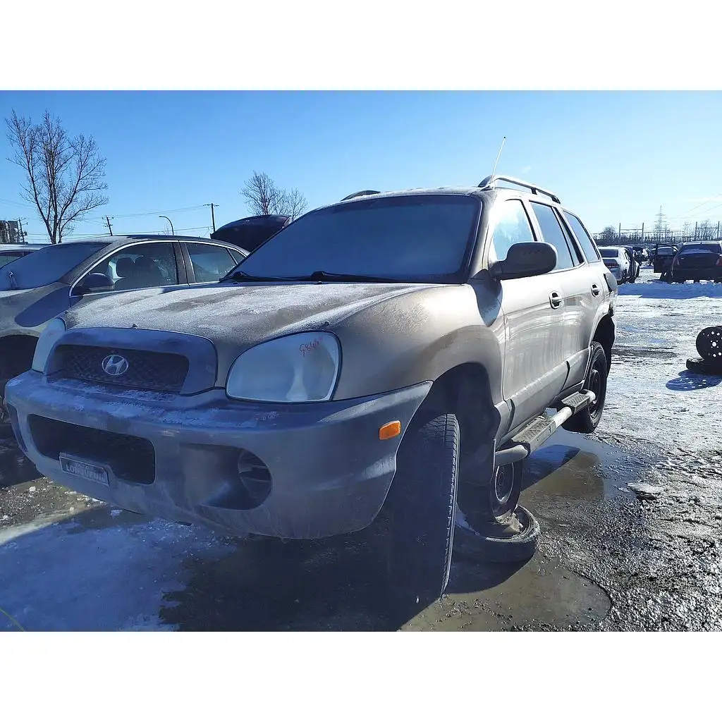 Photo of 2004 Hyundai Santa Fe