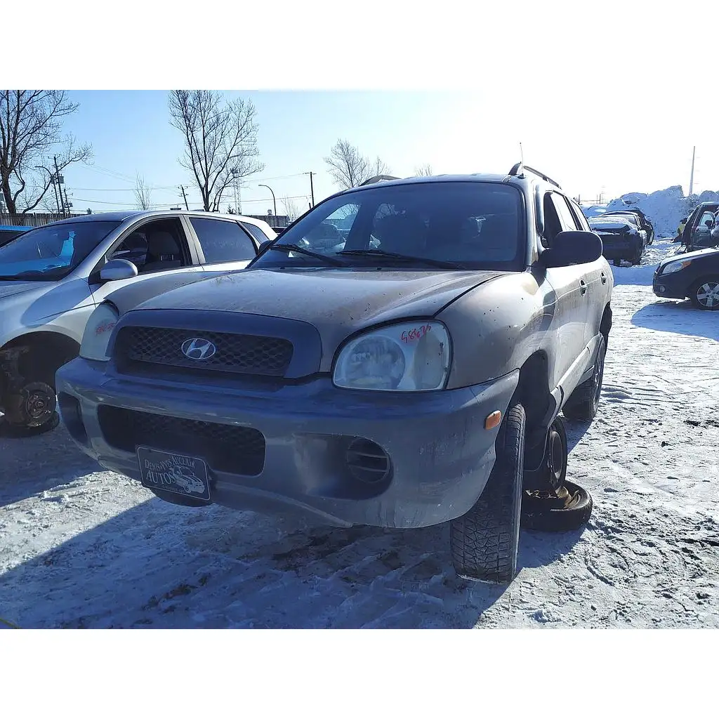 Photo of 2003 Hyundai Santa Fe