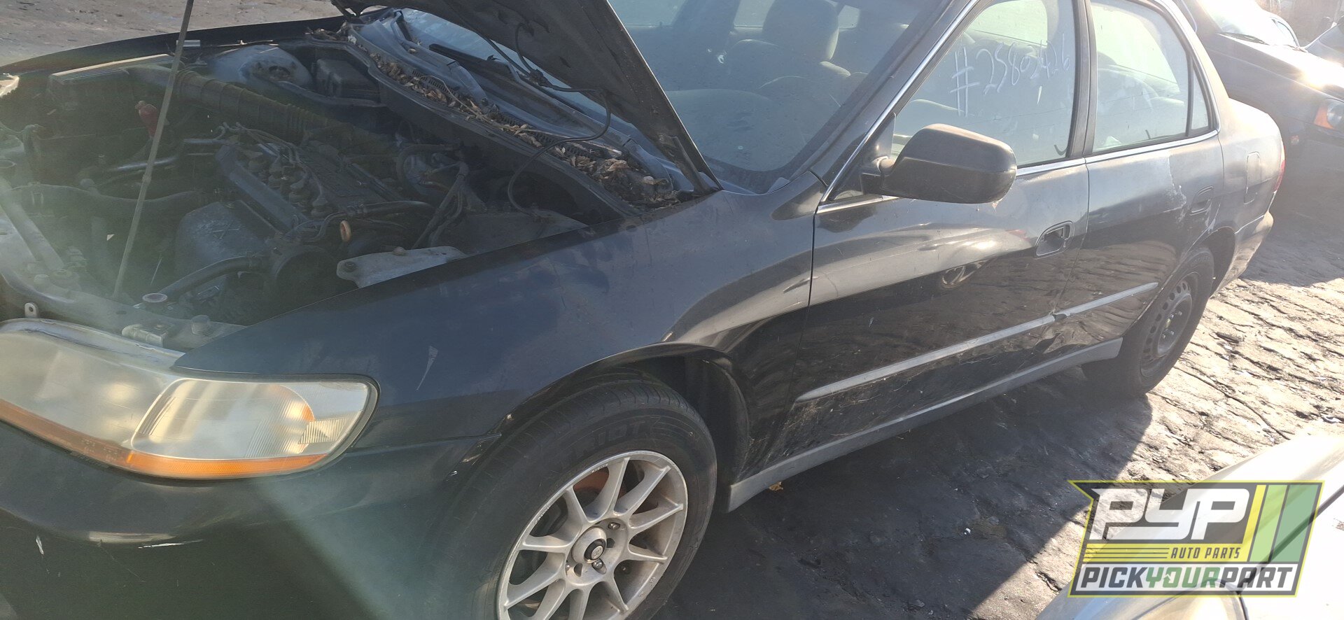 Photo of 1999 Honda Accord