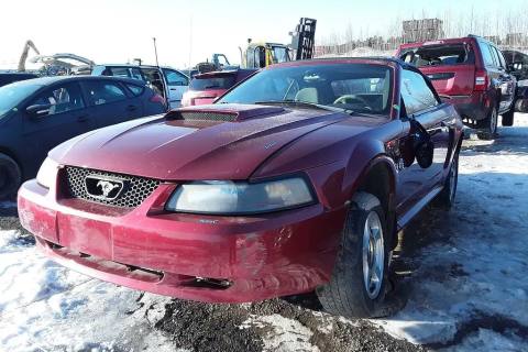 Photo of 2004 Ford Mustang