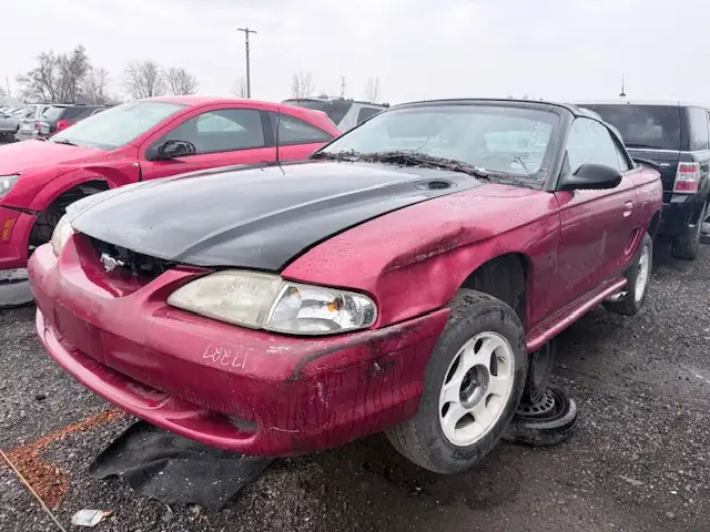 Photo of 1994 Ford Mustang