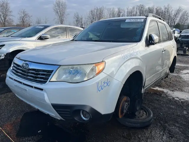 Photo of 2010 Subaru Forester