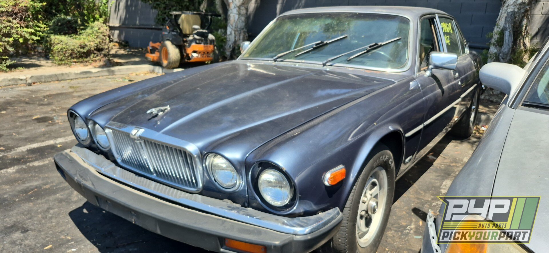 Photo of 1987 Jaguar Xj6