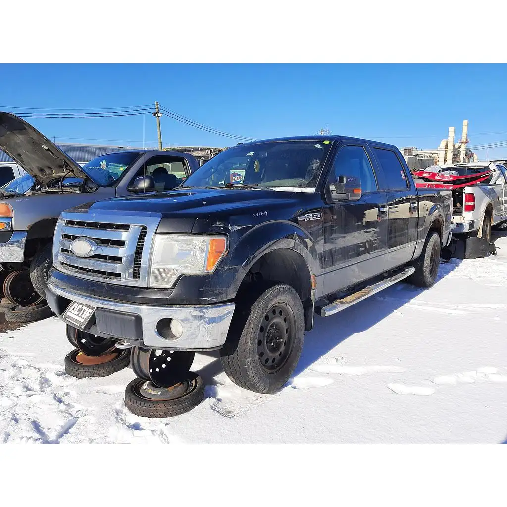 Photo of 2009 Ford F-150
