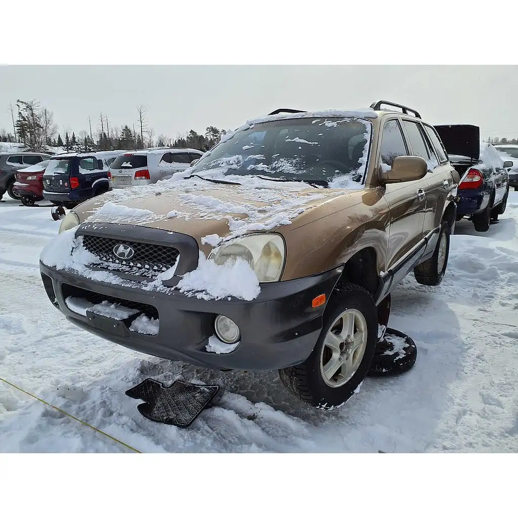 Photo of 2004 Hyundai Santa Fe