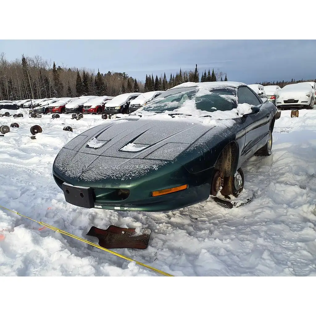 Photo of 1996 Pontiac Firebird