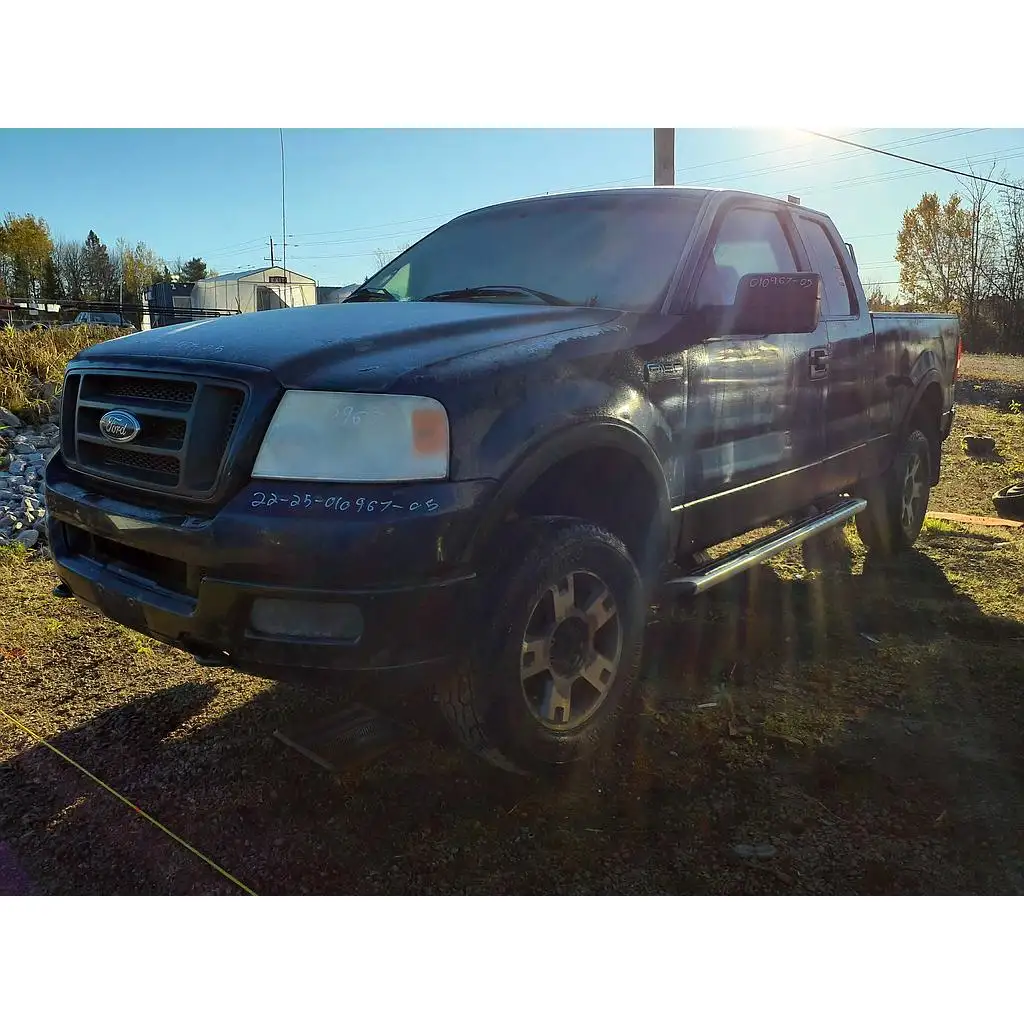 Photo of 2005 Ford F-150
