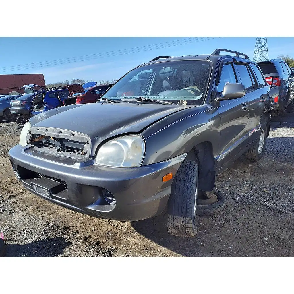 Photo of 2005 Hyundai Santa Fe