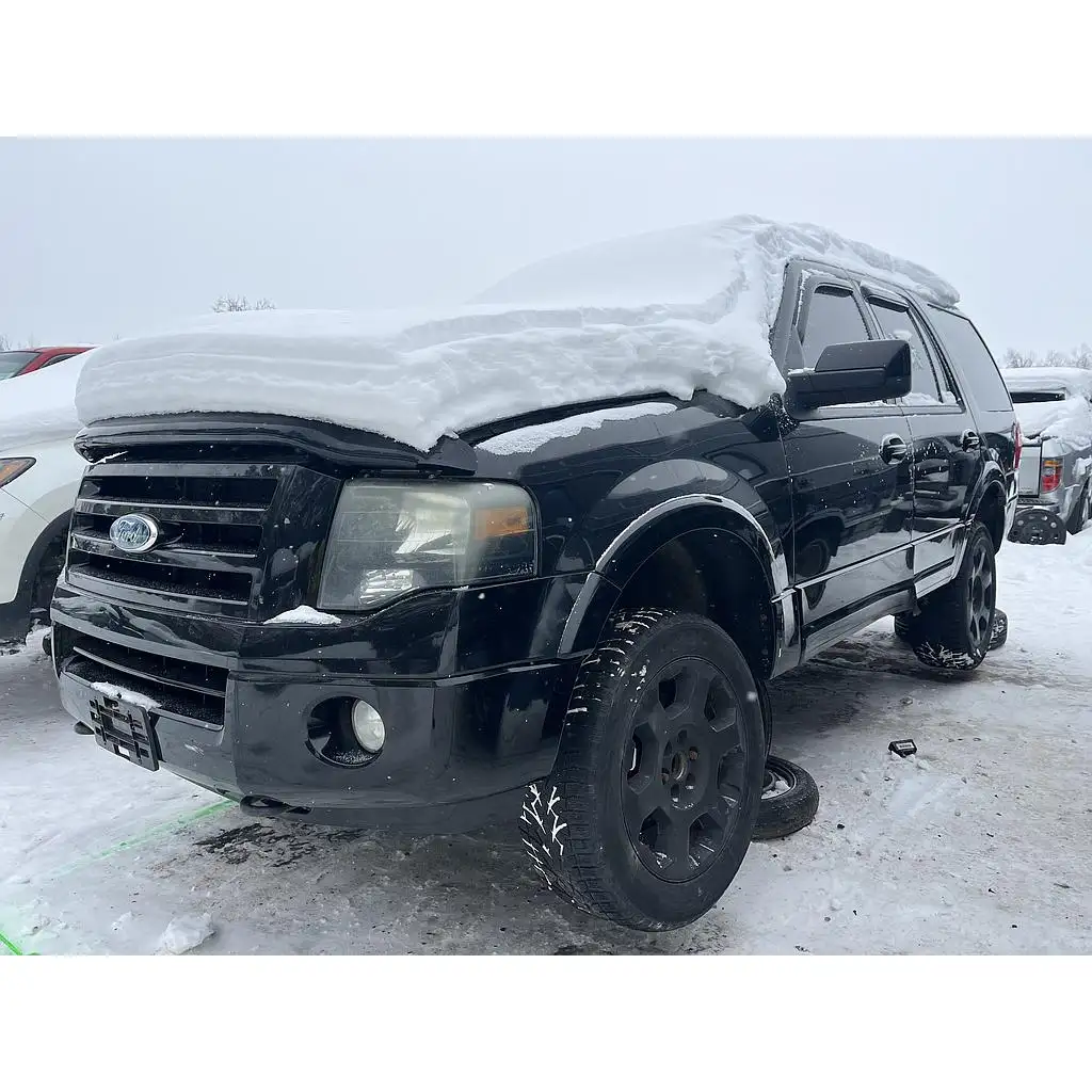 Photo of 2009 Ford Expedition