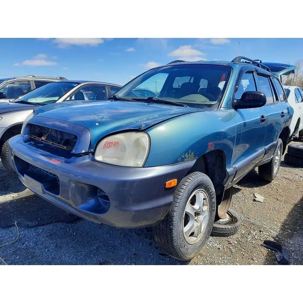 Photo of 2003 Hyundai Santa Fe
