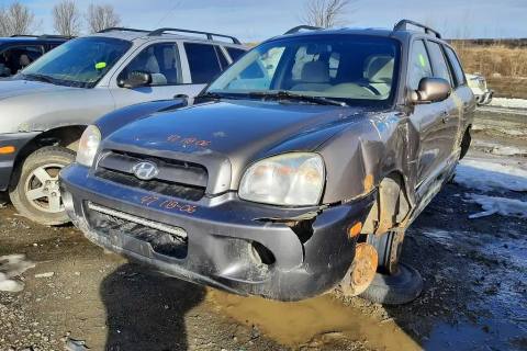 Photo of 2006 Hyundai Santa Fe