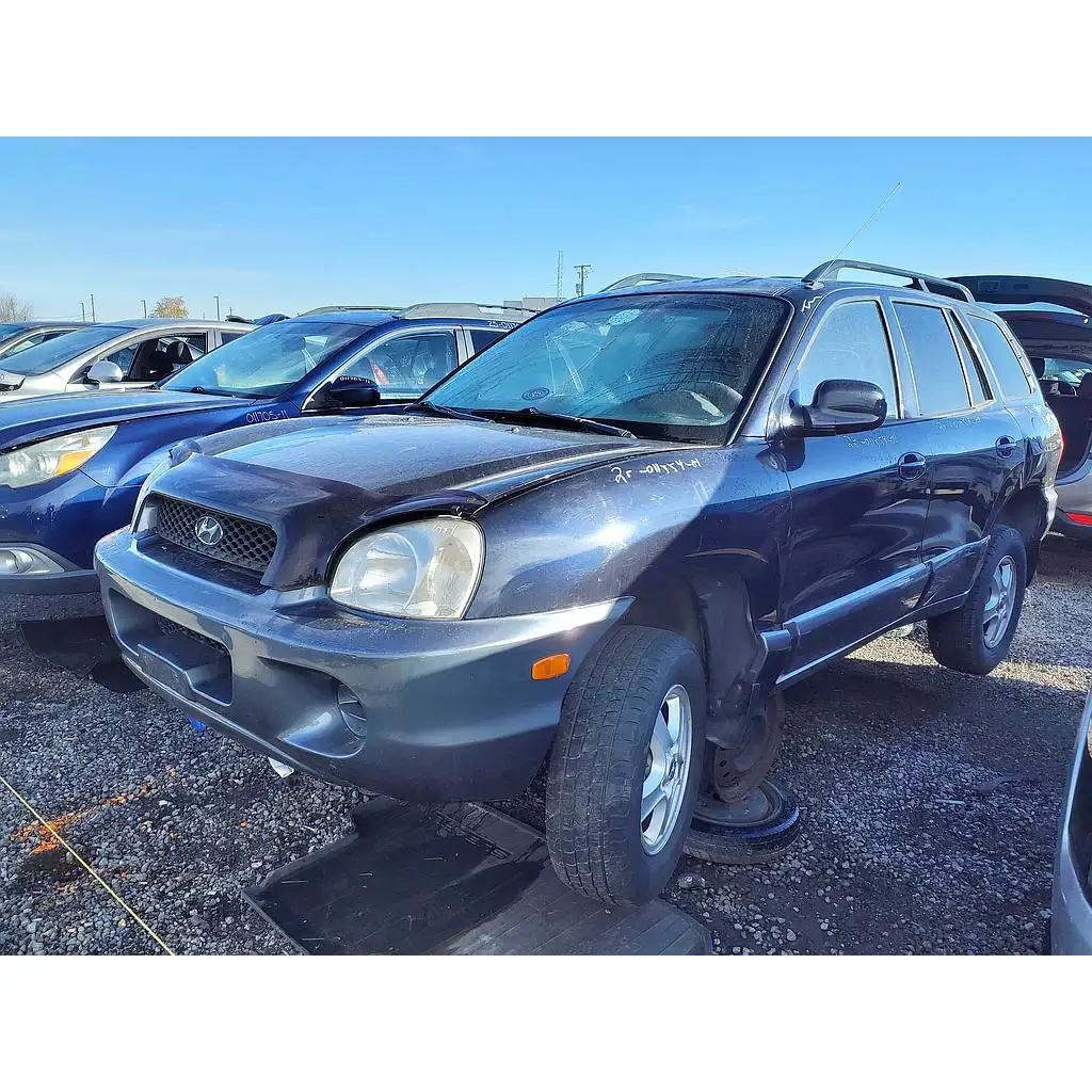 Photo of 2004 Hyundai Santa Fe