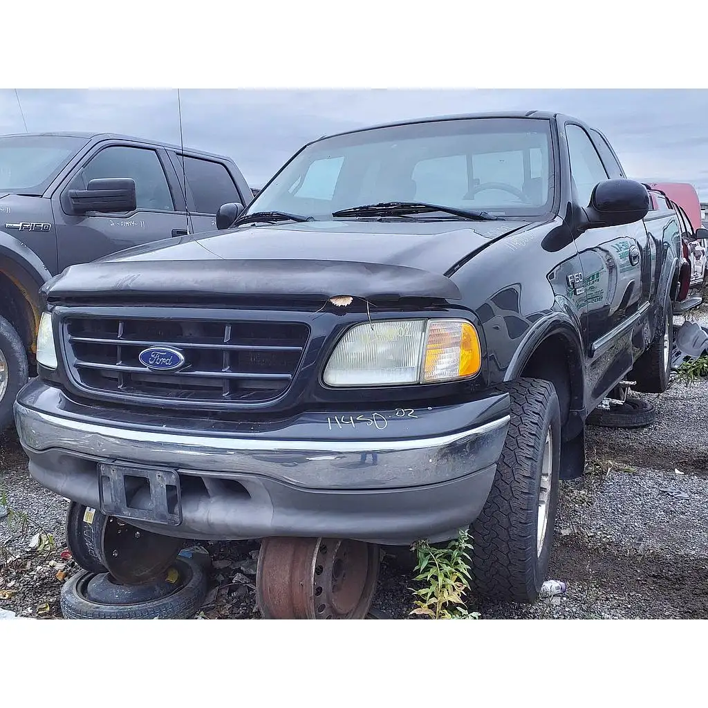 Photo of 2002 Ford F-150