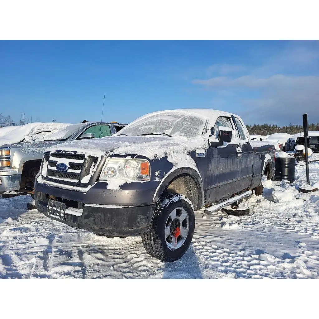 Photo of 2004 Ford F-150