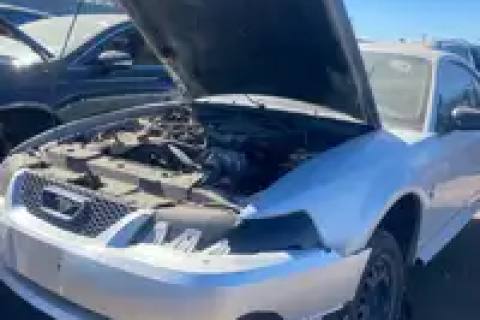 Photo of 1999 Ford Mustang