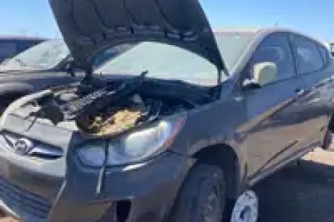 Photo of 2013 Hyundai Accent
