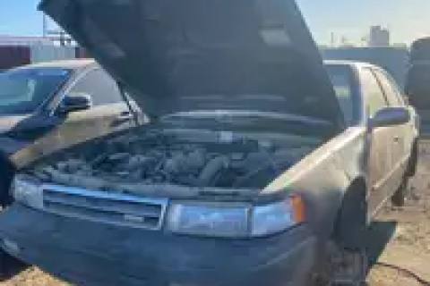 Photo of 1992 Nissan Maxima