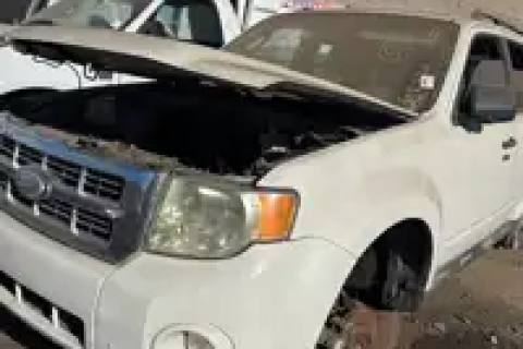 Photo of 2011 Ford Escape