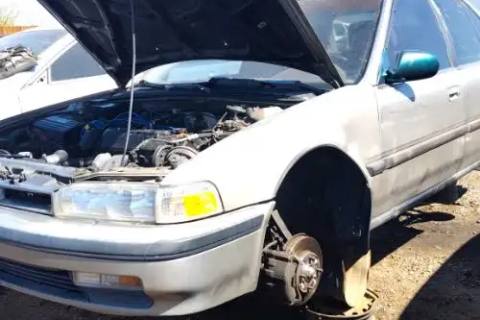 Photo of 1991 Honda Accord