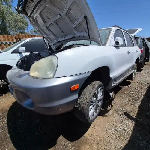 Photo of 2003 Hyundai Santa Fe
