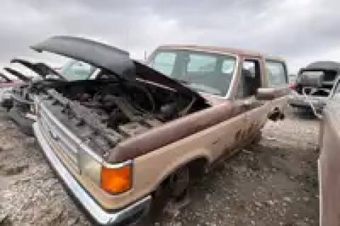 Photo of 1987 Ford Bronco