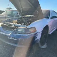 Photo of 2000 Ford Mustang