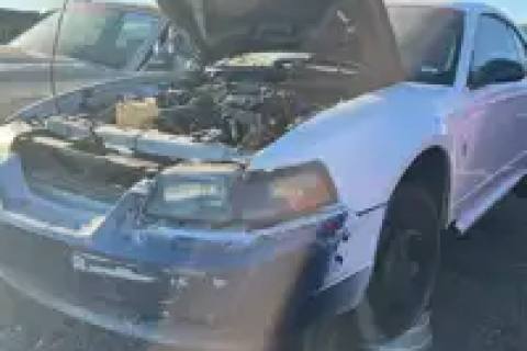 Photo of 2000 Ford Mustang