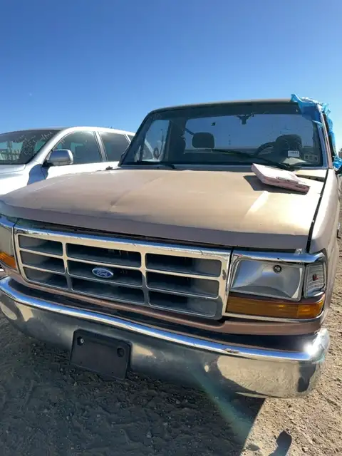 Photo of 1995 Ford F-150