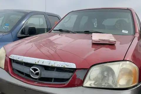Photo of 2001 Mazda Tribute