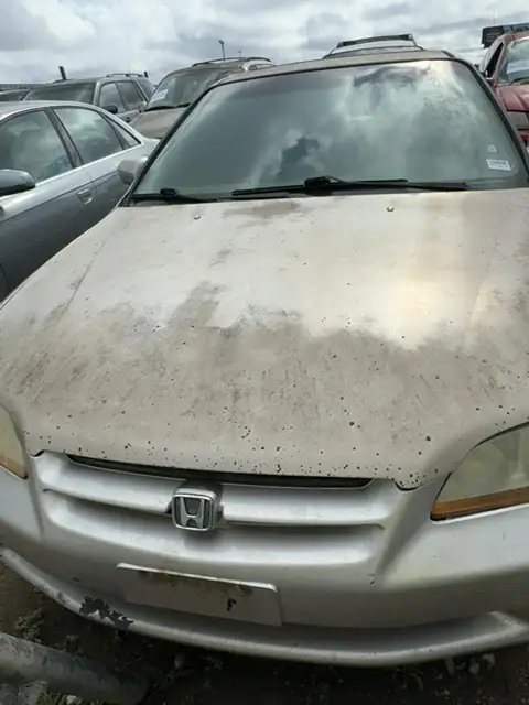 Photo of 1998 Honda Accord