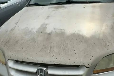 Photo of 1998 Honda Accord