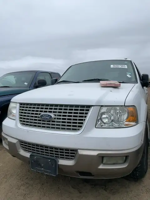 Photo of 2004 Ford Expedition