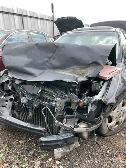Photo of 1999 Honda Accord