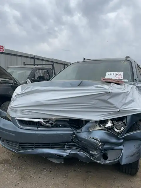 Photo of 2008 Hyundai Entourage