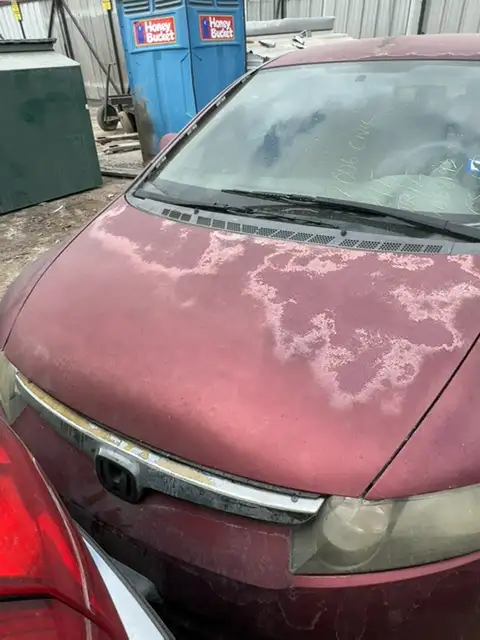 Photo of 2006 Honda Civic
