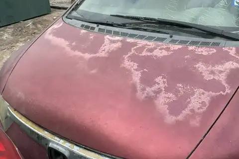 Photo of 2006 Honda Civic
