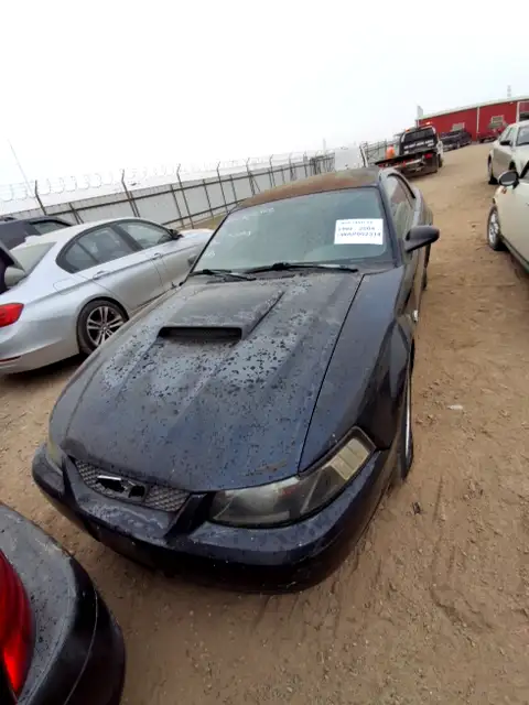 Photo of 2004 Ford Mustang