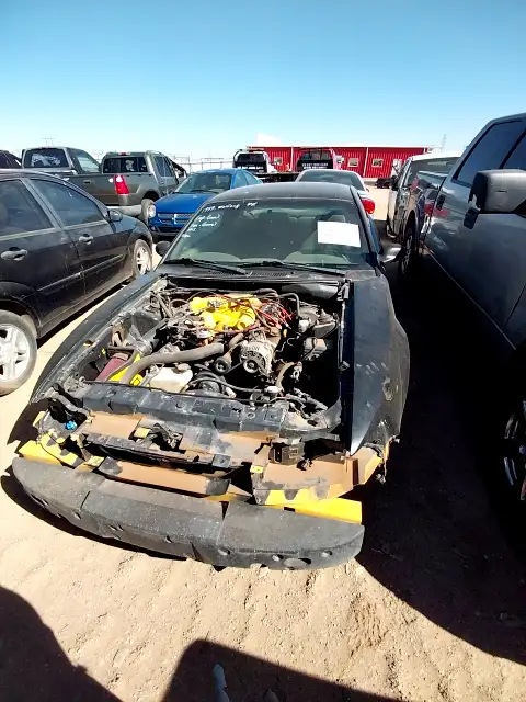 Photo of 1999 Ford Mustang