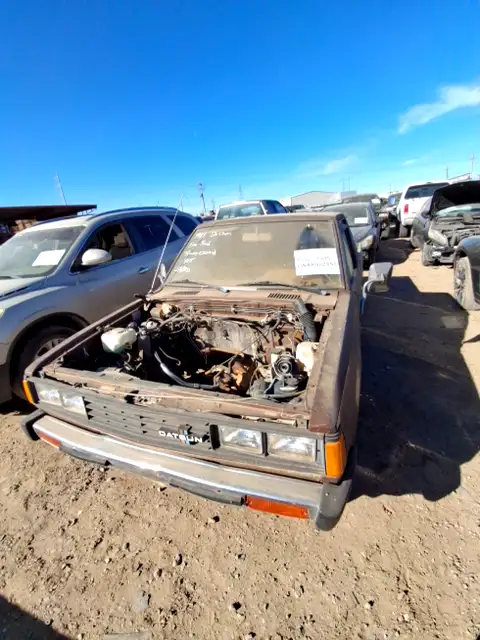 Photo of 1981 Nissan Pickup