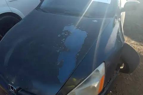 Photo of 2005 Honda Accord