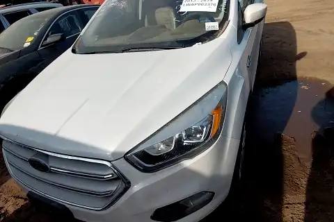 Photo of 2019 Ford Escape