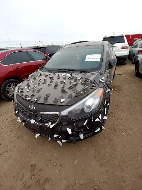 Photo of 2014 Kia Forte