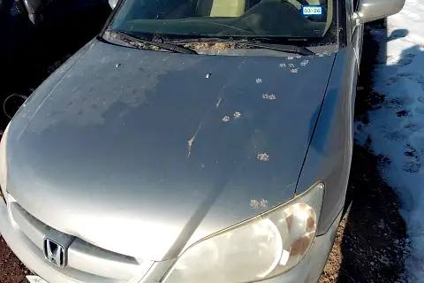 Photo of 2005 Honda Civic