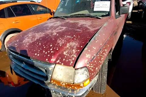 Photo of 1998 Ford Ranger